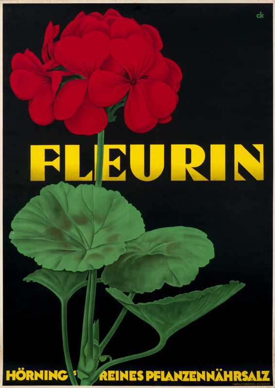 red flower; red, green, black
