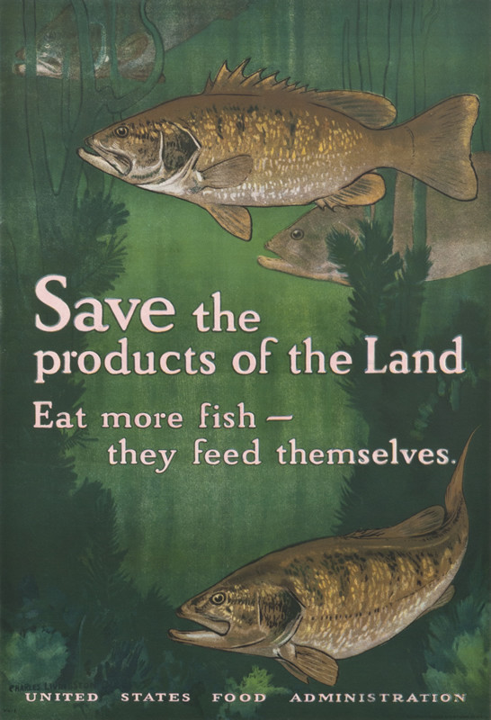Four fish swim through a sea of kelp; pink lettering on green background