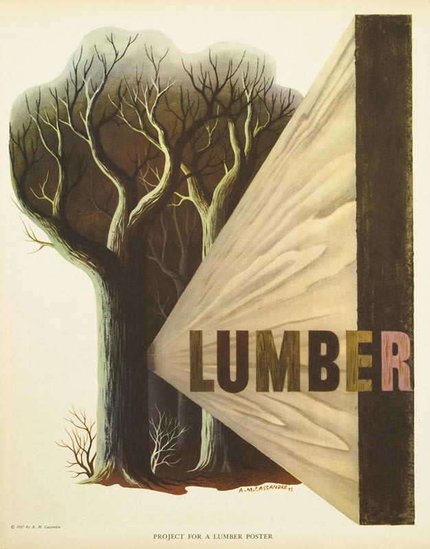 Long plank of wood emerges from forest of leafless trees; brown, gray, black
