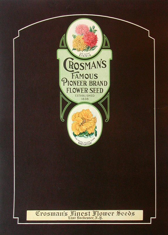 zinnias and nasturtiums inside borders company from rochester, NY ; black, green, pink, yellow;