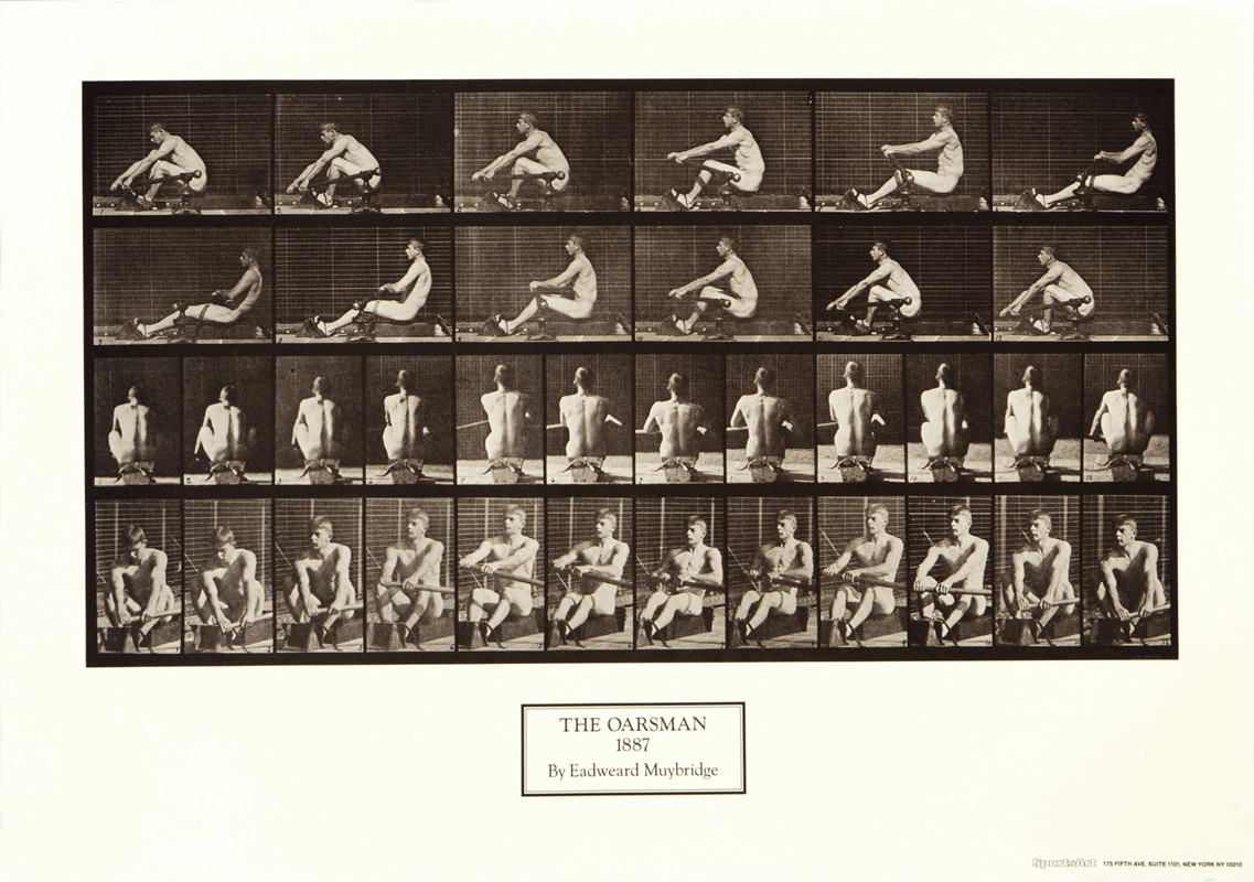Photographic studies of a man on a rowing machine; cream, black, gray