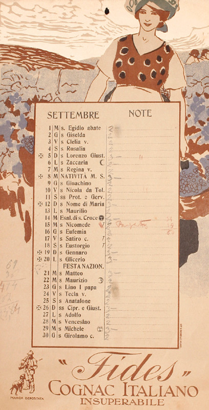 Woman with basket of grapes in vineyard; brown, blue