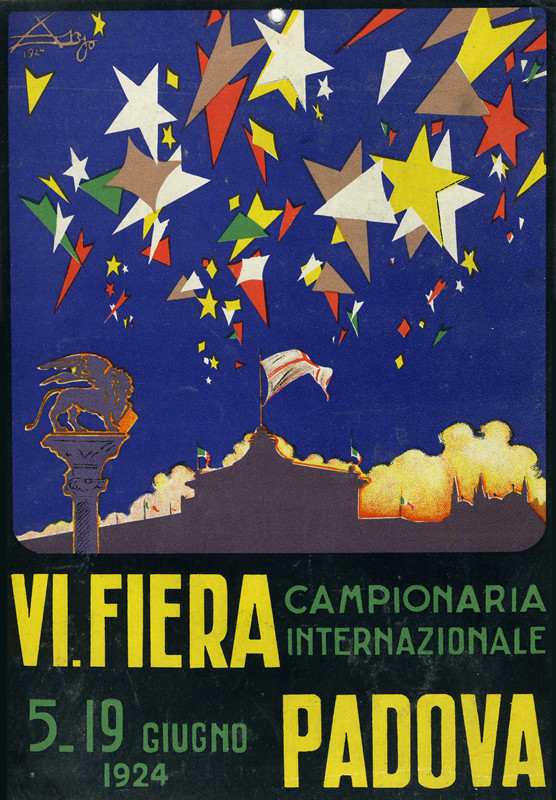 Multicolored stars fill sky above silhouette of Padua; blue, black, red, yellow, green