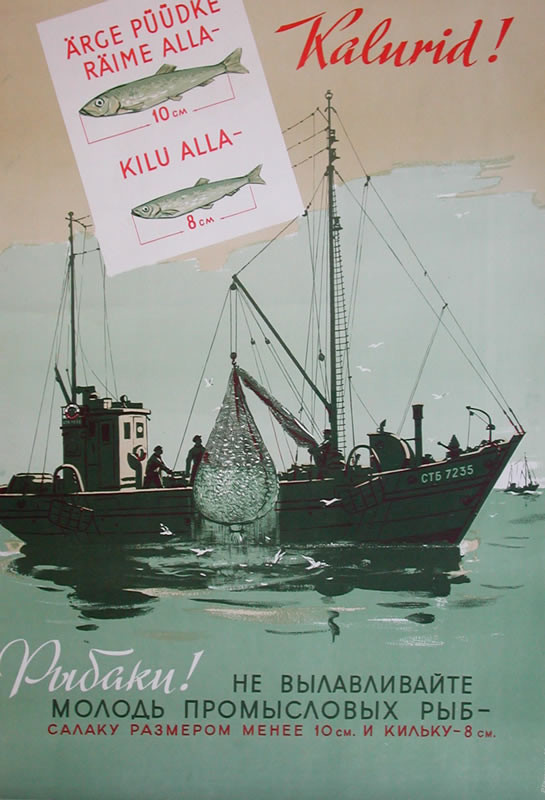 Fishing boat gathering catch; green, yellow