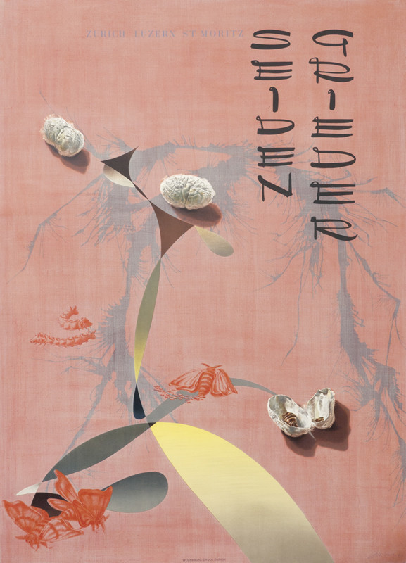 Moths, caterpillars and cocoons on peach colored background; peach, pink, gray