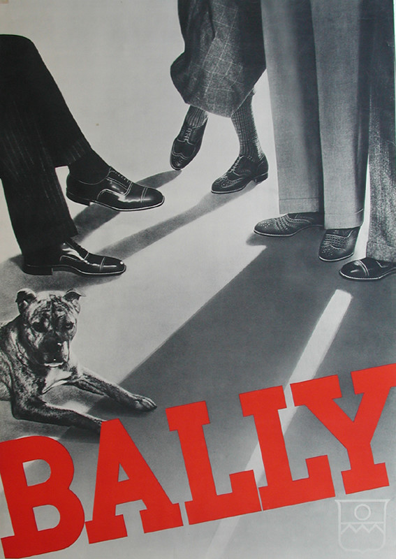 dog and legs; gray, red