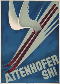 pair of wooden skis with wings; blue