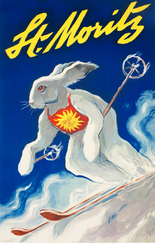 Rabbit wearing race bib skis downhill; blue, white, red, yellow