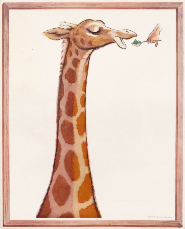 Trainer feeds giraffe; yellow, orange