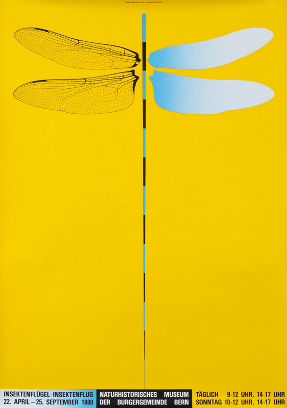Dragonfly with detailed wings; yellow, blue
