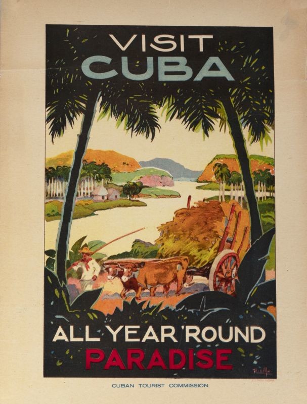 View through palm trees of bay; green, blue, yellow