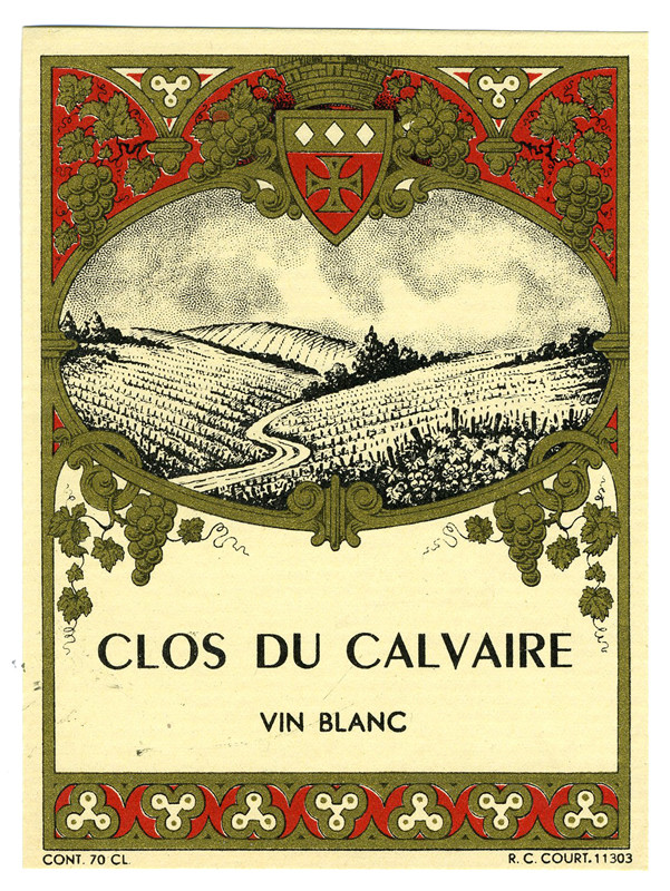 View of vineyard; black, red, gold