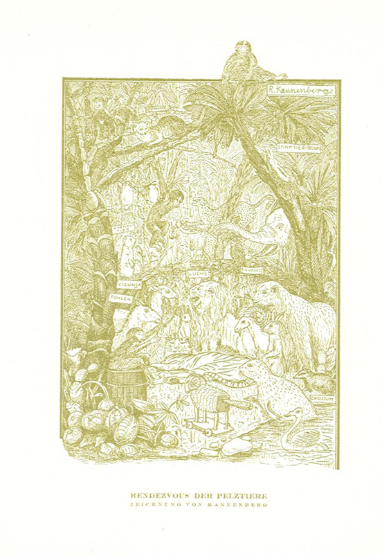 A gathering of fur animals; ochre