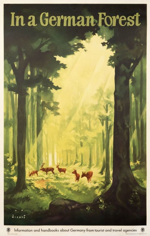 Deer graze in forest with sunlight streaming down; green, brown, yellow